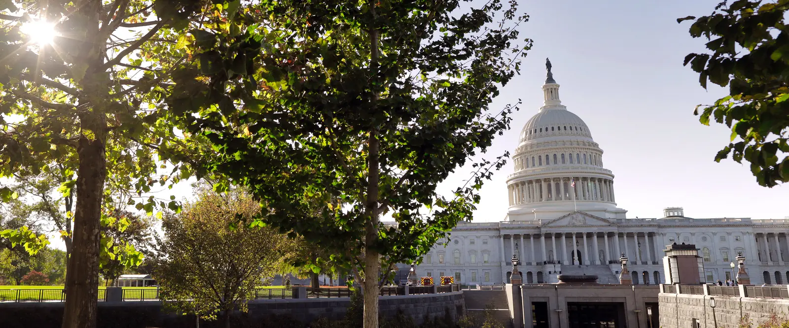 The dome of the U.S. Capitol in Washington behind trees on the Capitol grounds
